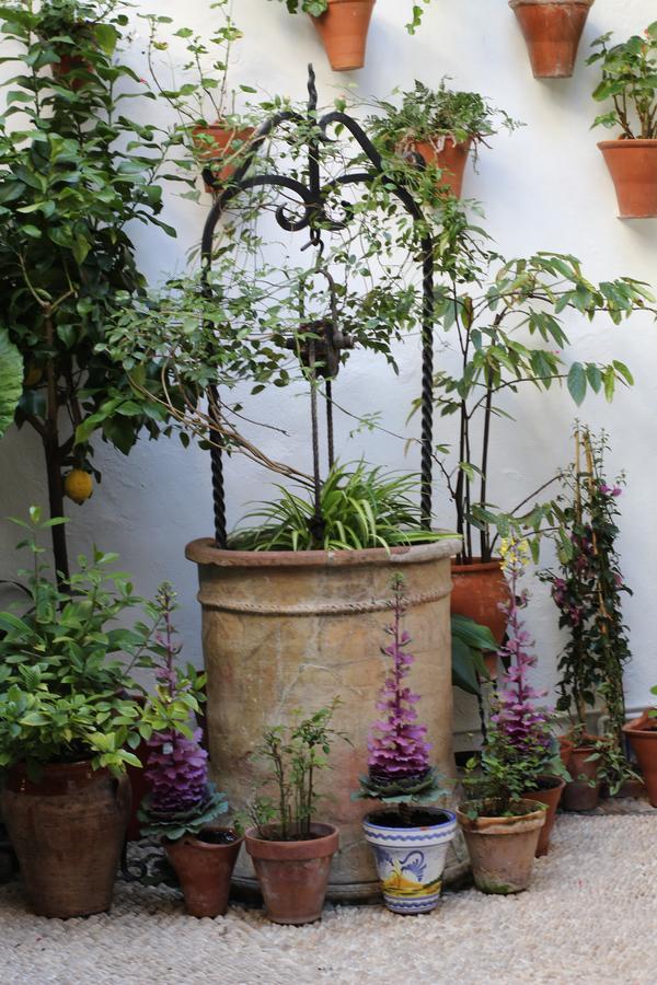 Casa Longa Hotell Córdoba Eksteriør bilde